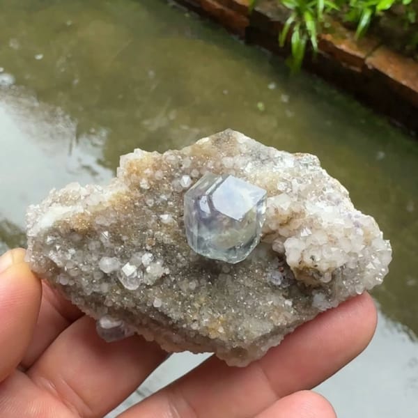 Pale blue fluorite dodecahedron on grey quartz plate from Fujian, China, held in hand