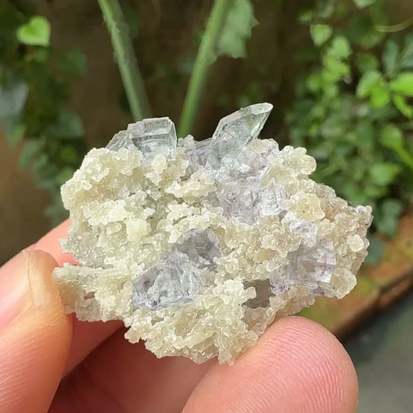 Pale purple fluorite cubes on cream quartz with mica from Yaogangxian Mine, Hunan, China