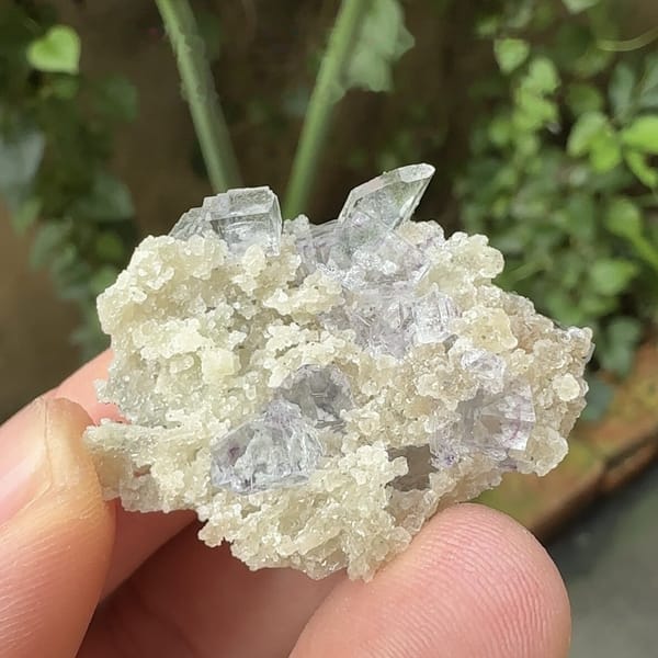 Pale purple fluorite cubes on cream quartz with mica from Yaogangxian Mine, Hunan, China, second angle