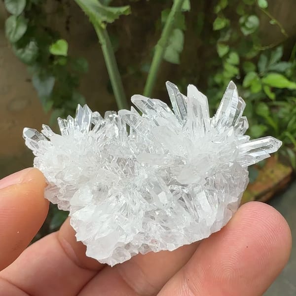 Radiating chrysanthemum quartz spray from Jinkouhe, Sichuan, China, held in hand