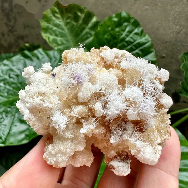 Fuzzy white aragonite tufts over yttrofluorite and gypsum from Guizhou, China, held in hand