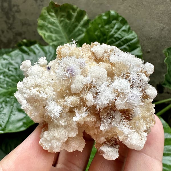 Fuzzy white aragonite tufts over yttrofluorite and gypsum from Guizhou, China, reverse side