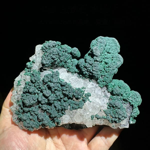 Dark green botryoidal malachite over white quartz druse from Laos, held in hand