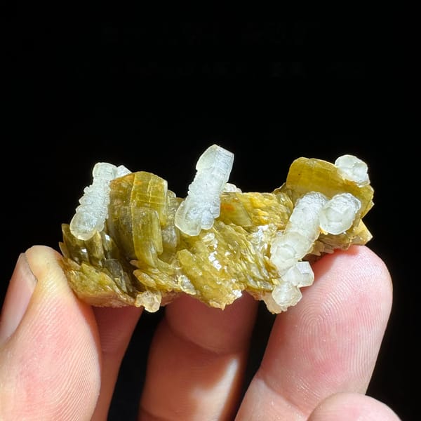 Clear calcite prisms on golden siderite blades from Guizhou, China, held in hand