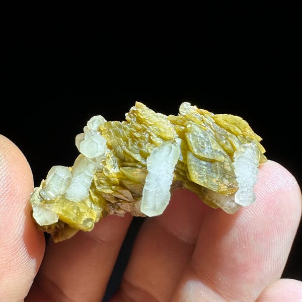 Clear calcite prisms on golden siderite blades from Guizhou, China, top view
