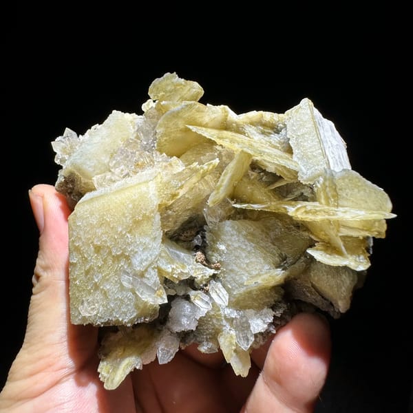 Phantom scepter quartz among tan platy calcite from Inner Mongolia, China, top view