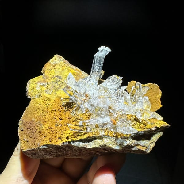 Ultra-clear gypsum blades on ochre-yellow rock from Guizhou, China, held in hand