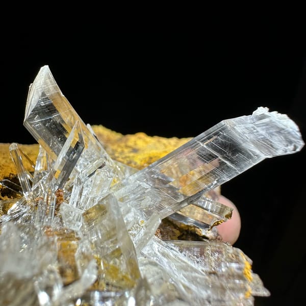 Ultra-clear gypsum blades on ochre-yellow rock from Guizhou, China, reverse side