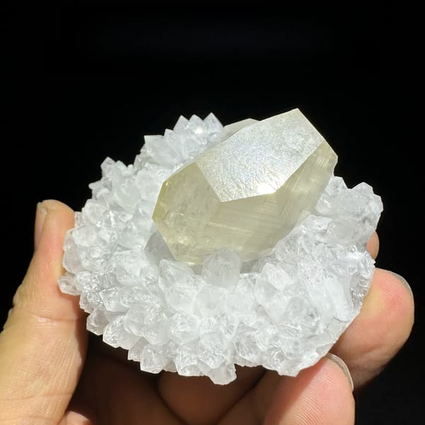 Large golden calcite crystal in nest of white quartz points from Fujian, China, held in hand