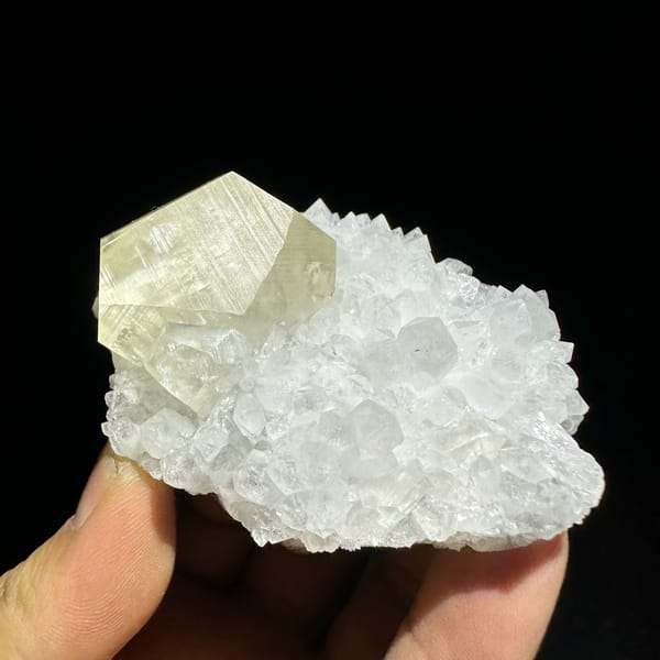 Large golden calcite crystal in nest of white quartz points from Fujian, China, close-up of the crystal faces