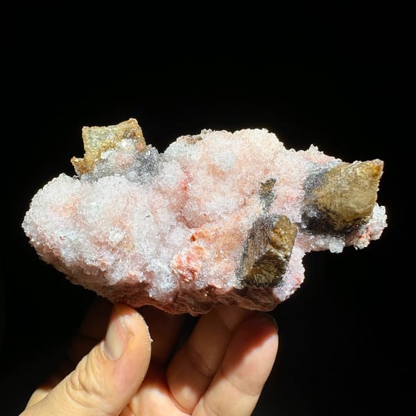 Coffee-brown calcite spikes on pink gypsum from Guizhou, China, reverse side