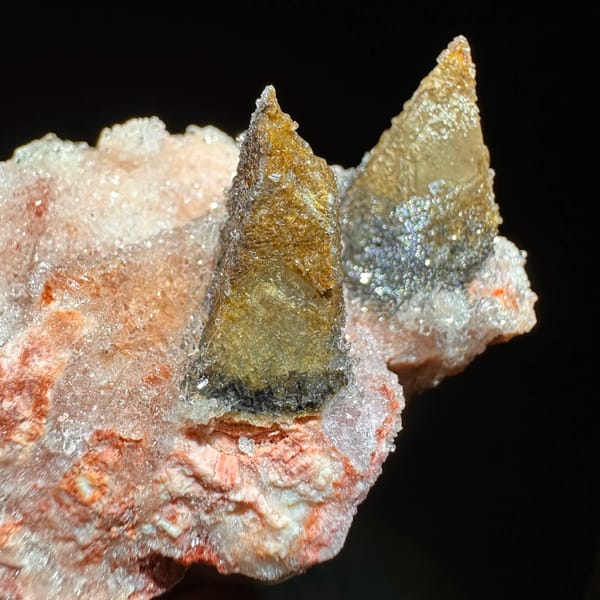 Coffee-brown calcite spikes on pink gypsum from Guizhou, China, top view