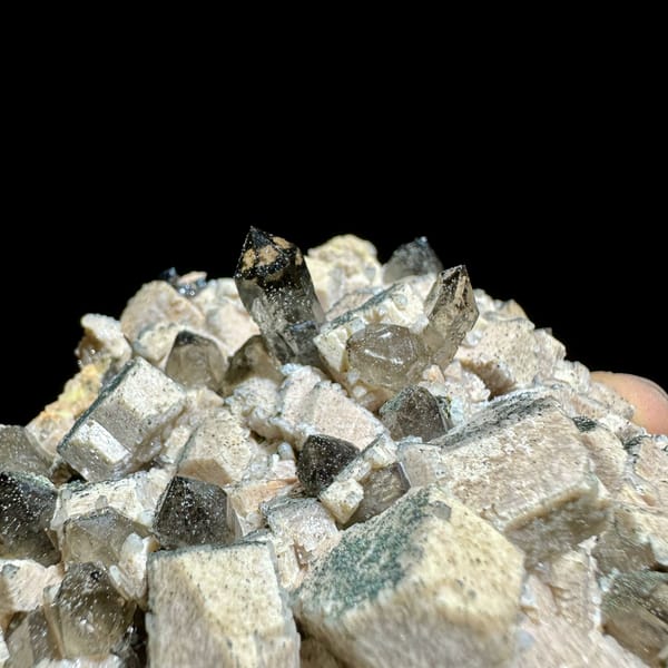 Smoky scepter quartz among cream feldspar from Yunxiao, Fujian, China, top view
