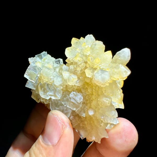 Ice-clear fluorite cubes on golden quartz cluster from Guizhou, China, close-up of the crystal faces