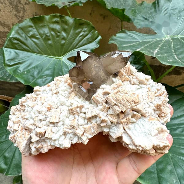 High-lustre smoky quartz on feldspar plate from Yunxiao, Fujian, China, held in hand