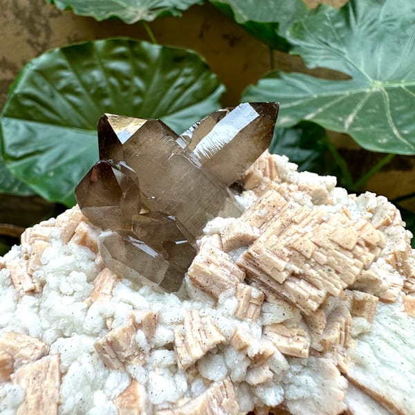 High-lustre smoky quartz on feldspar plate from Yunxiao, Fujian, China, close-up of the crystal faces