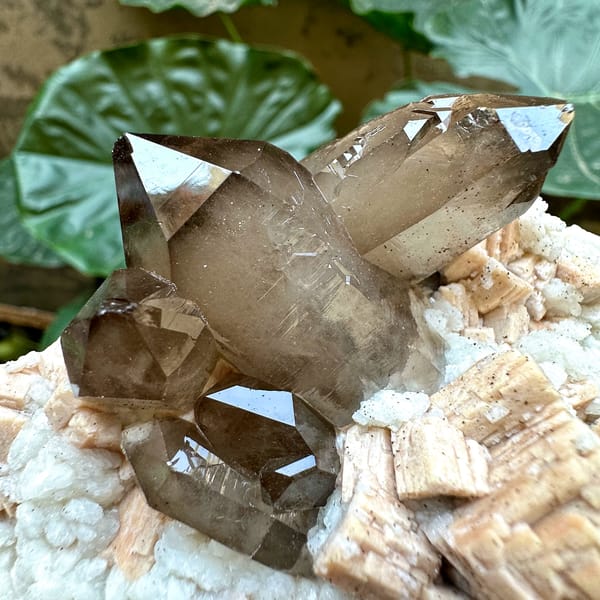 High-lustre smoky quartz on feldspar plate from Yunxiao, Fujian, China, reverse side