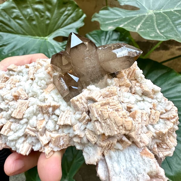 High-lustre smoky quartz on feldspar plate from Yunxiao, Fujian, China, top view