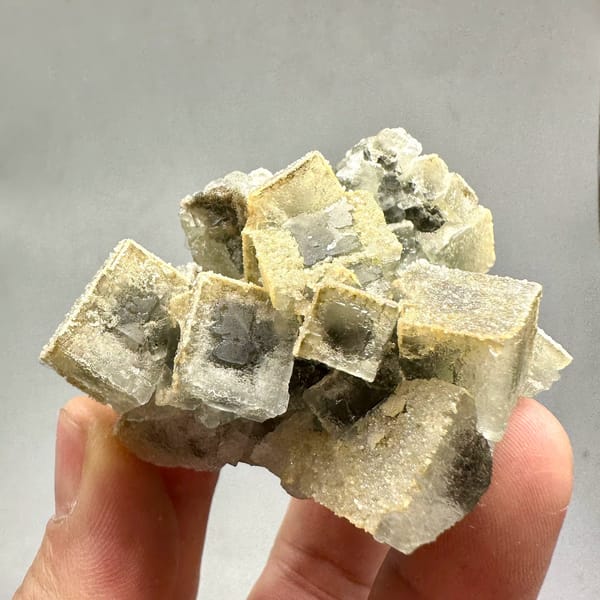 Etched cream fluorite cubes with sugary skin from Fujian, China, held in hand