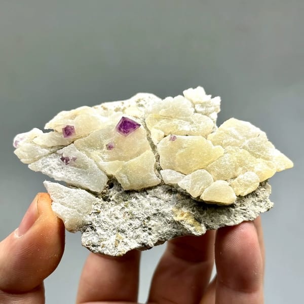 Cream fluorite octahedra with purple-red fluorite on quartz from Zhejiang, China, held in hand