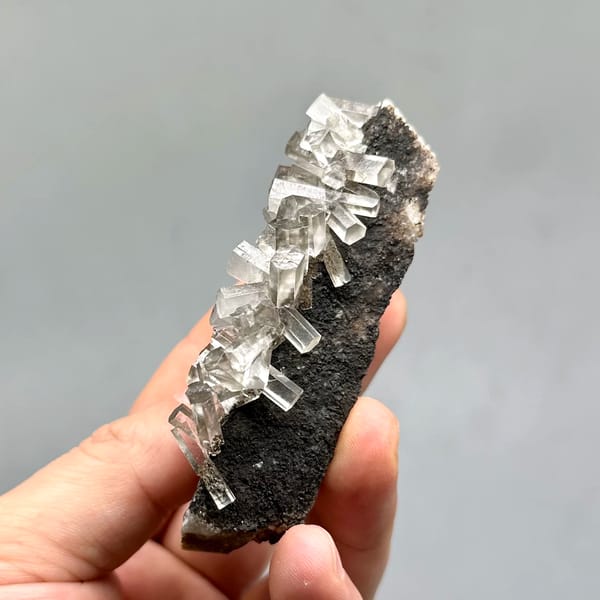 Translucent aurora calcite crystals on dark matrix from Fujian, China, top view