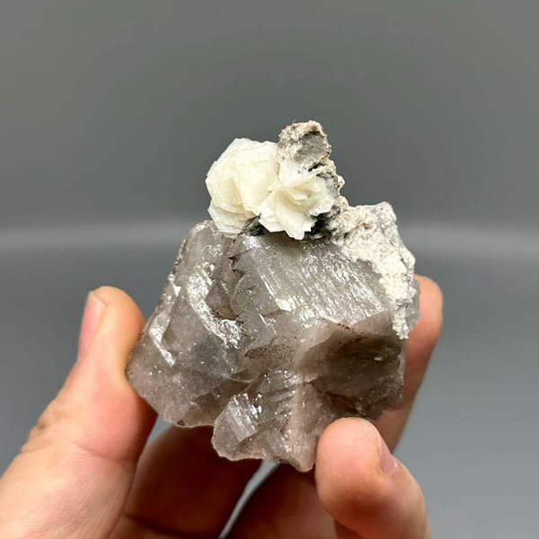 Smoky quartz with white hexagonal calcite plate from Yunxiao, Fujian, China, held in hand