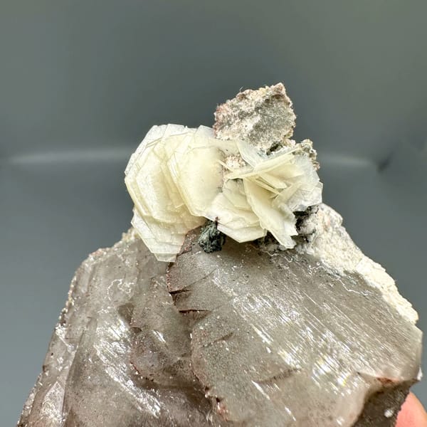 Smoky quartz with white hexagonal calcite plate from Yunxiao, Fujian, China, close-up of the crystal faces