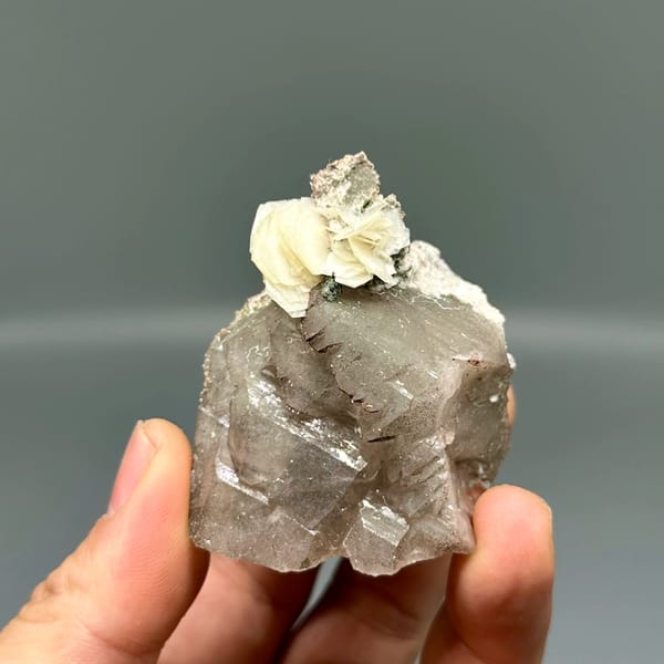 Smoky quartz with white hexagonal calcite plate from Yunxiao, Fujian, China, reverse side