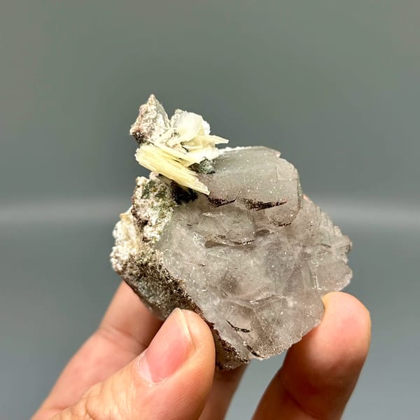 Smoky quartz with white hexagonal calcite plate from Yunxiao, Fujian, China, top view