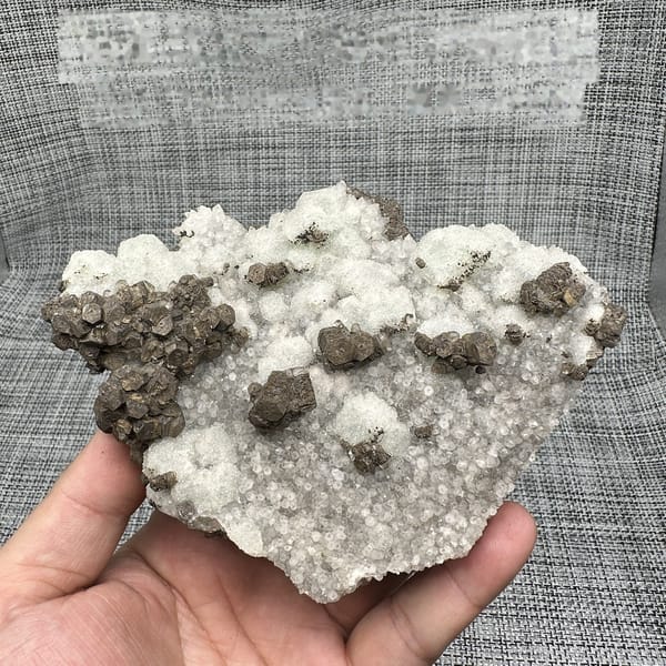 Chocolate-brown calcite clusters on white sugar fluorite plate from Fujian, China, detail of the matrix contact