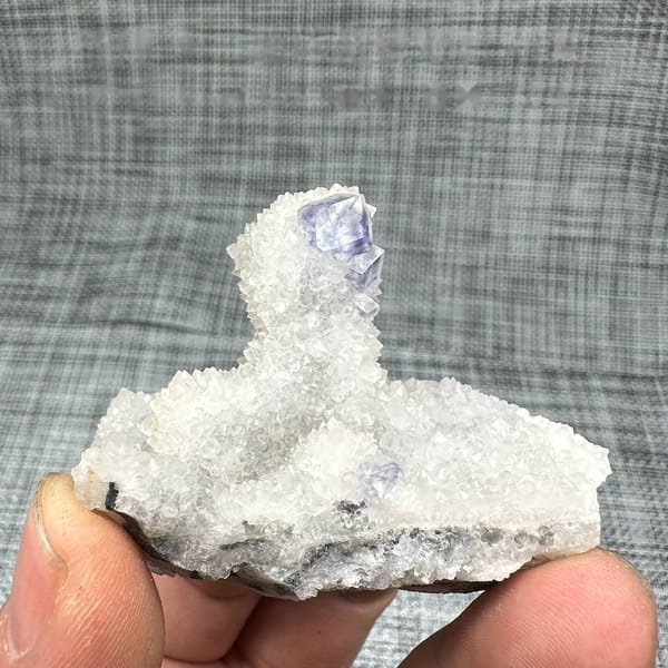 Purple-blue fluorite dodecahedron on white quartz mound from Fujian, China, held in hand