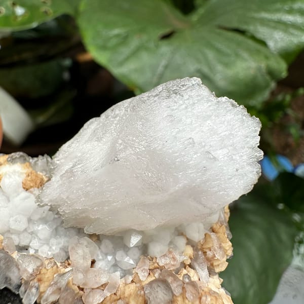 Shield-shaped calcite crystal on quartz and dolomite from Inner Mongolia, China, close-up of the crystal faces