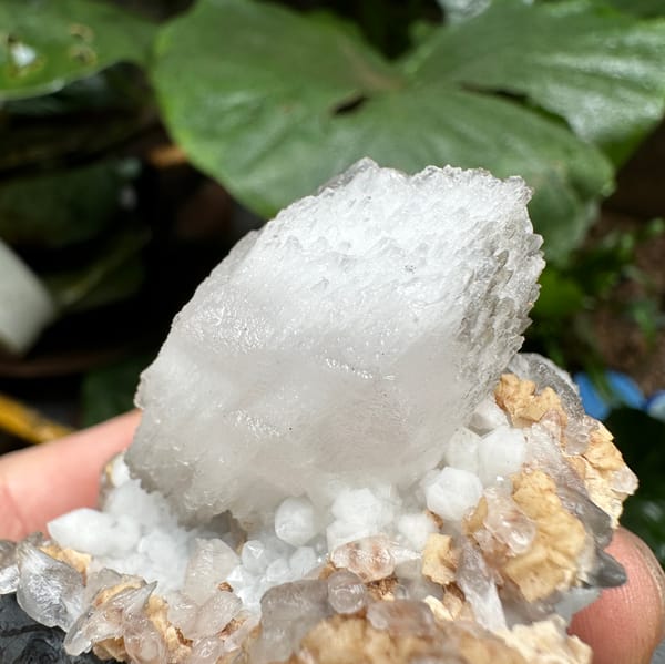 Shield-shaped calcite crystal on quartz and dolomite from Inner Mongolia, China, detail of the matrix contact