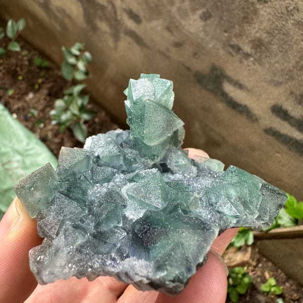 Teal-green sugar-frosted fluorite octahedra from Fujian, China, close-up of the crystal faces
