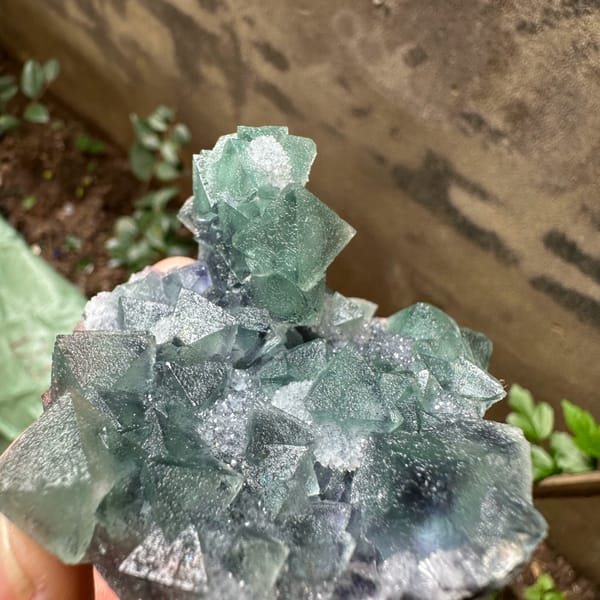 Teal-green sugar-frosted fluorite octahedra from Fujian, China, reverse side