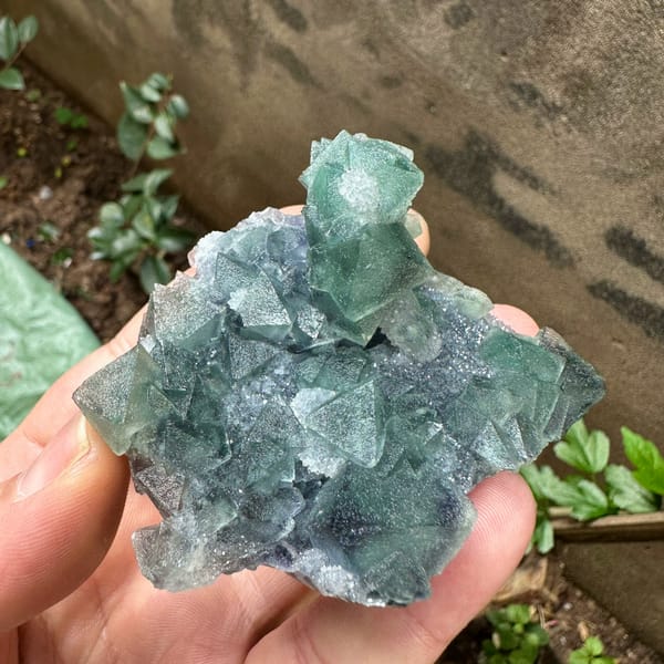Teal-green sugar-frosted fluorite octahedra from Fujian, China, top view