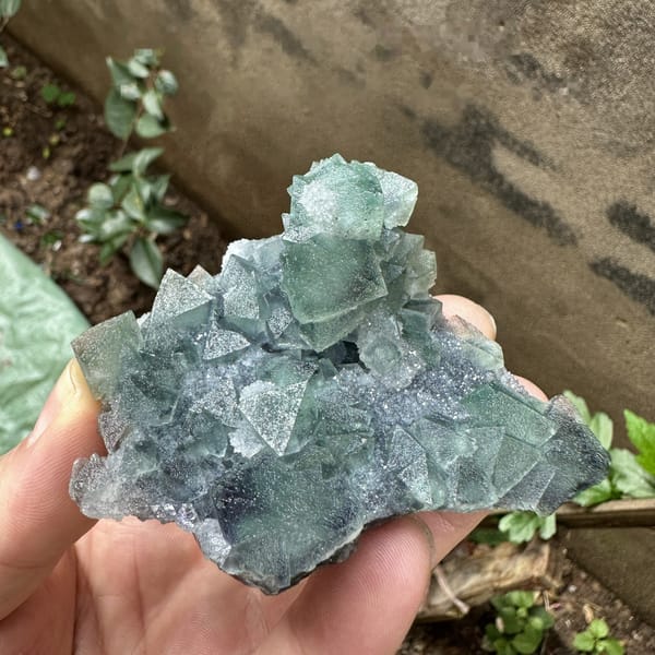 Teal-green sugar-frosted fluorite octahedra from Fujian, China, detail of the matrix contact