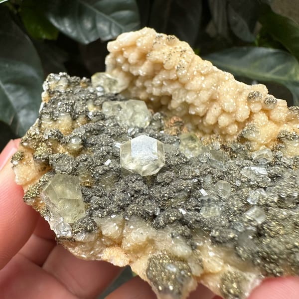 Clear calcite rhombs on pyrite-dusted dolomite from Hubei, China, reverse side