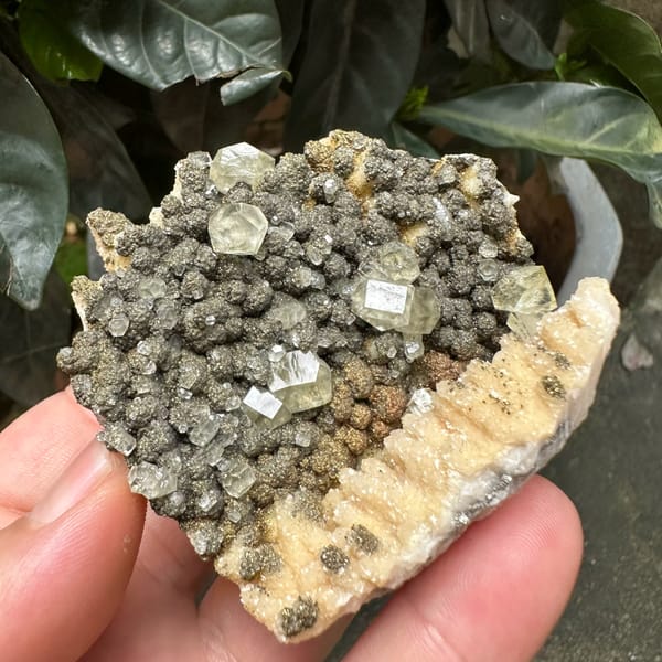 Clear calcite rhombs on pyrite-dusted dolomite from Hubei, China, top view