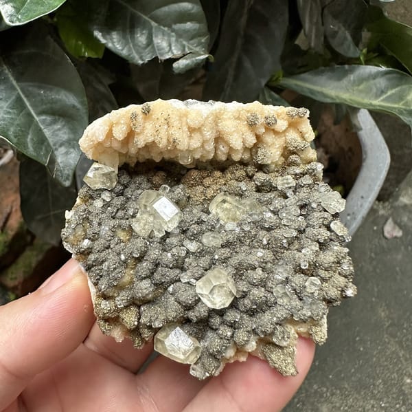 Clear calcite rhombs on pyrite-dusted dolomite from Hubei, China, detail of the matrix contact