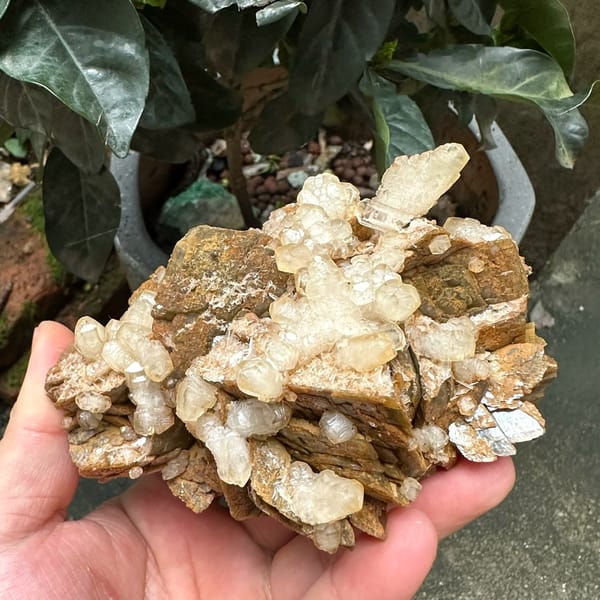 White calcite and baryte blades on golden siderite from Guizhou, China, held in hand