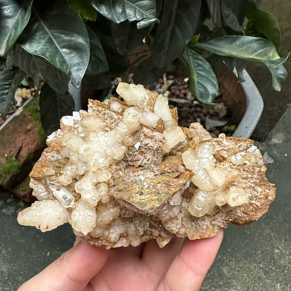 White calcite and baryte blades on golden siderite from Guizhou, China, second angle