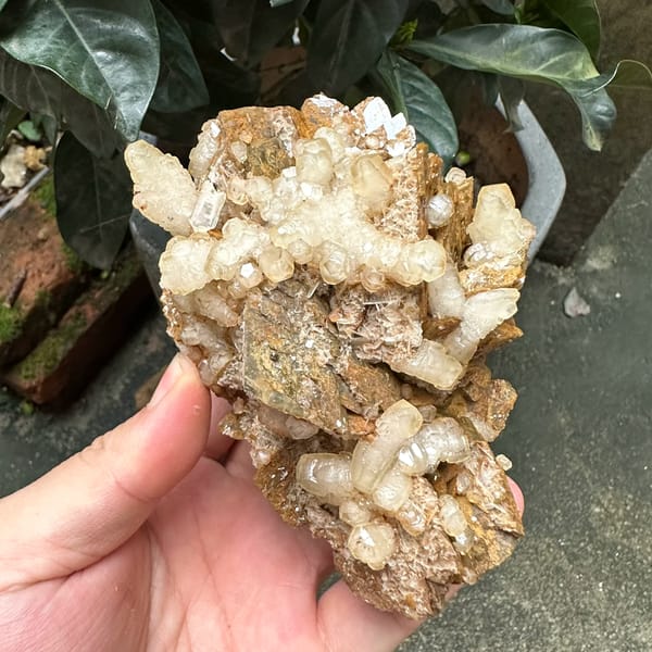 White calcite and baryte blades on golden siderite from Guizhou, China, close-up of the crystal faces