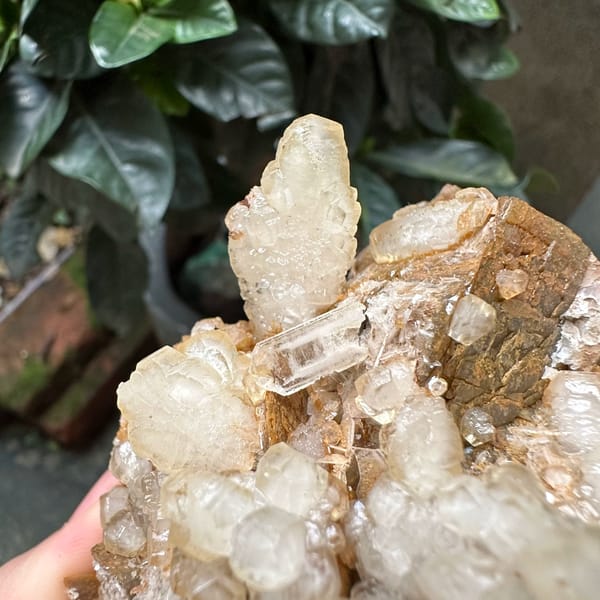 White calcite and baryte blades on golden siderite from Guizhou, China, reverse side