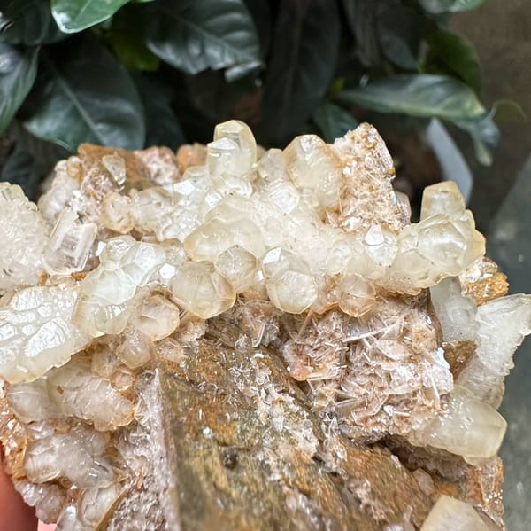 White calcite and baryte blades on golden siderite from Guizhou, China, top view