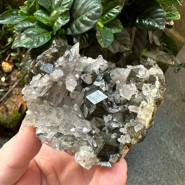Dark garnet crystals among clear quartz points from Inner Mongolia, China, held in hand