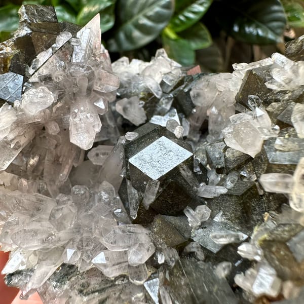 Dark garnet crystals among clear quartz points from Inner Mongolia, China, second angle