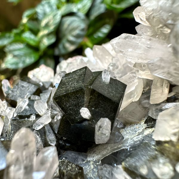 Dark garnet crystals among clear quartz points from Inner Mongolia, China, close-up of the crystal faces
