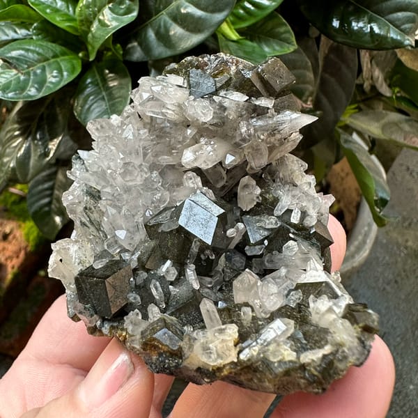 Dark garnet crystals among clear quartz points from Inner Mongolia, China, reverse side