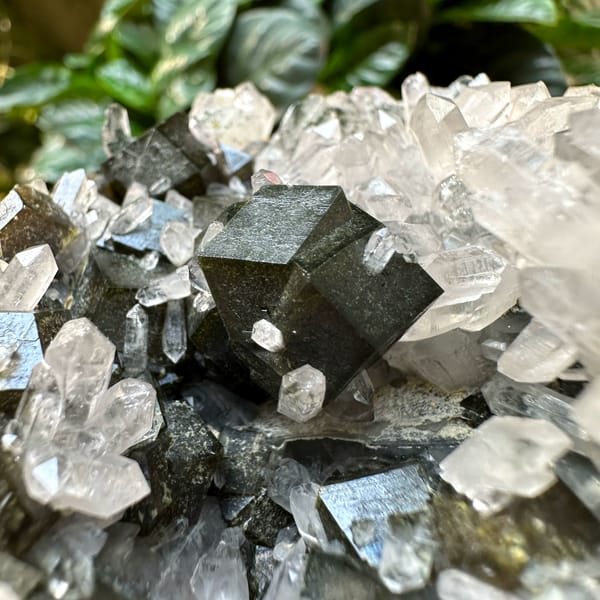 Dark garnet crystals among clear quartz points from Inner Mongolia, China, top view